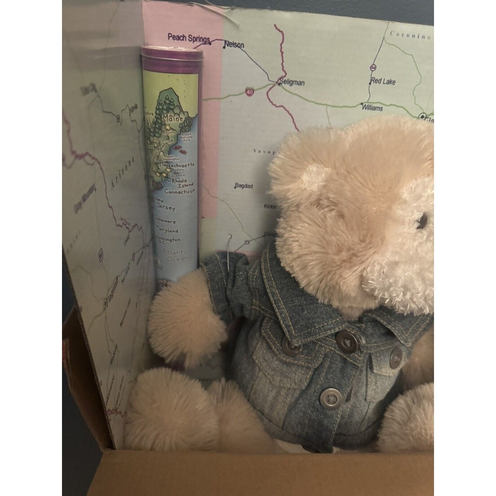 Gund Plush Everywhere Bear Travel Set RARE Kids Teddy Bear Passport Map‎ Etc - Picture 6 of 15